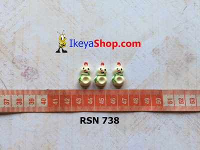 rsn 738  large2